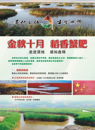 游客杂志广告服务 连接全球旅行者，点亮品牌旅程