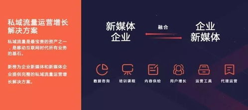 新榜2019内容创业年度报告 洞见行业趋势，赋能商业增长