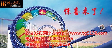 广告服务与软件开发 一站式解决方案的市场机遇